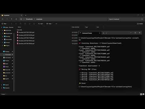 Rename Files Automation using Python (Script Demo)