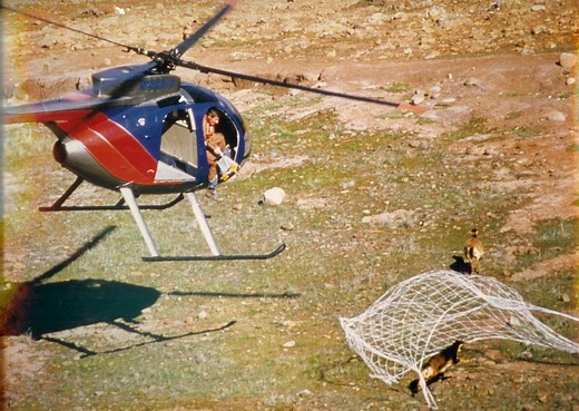 Net Guns | Wildlife Capture Services-Live Animal Capture Equipment — Wildlife Capture