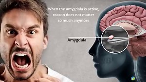 7.9K views · 43 reactions | I am going to spend some time focusing on...