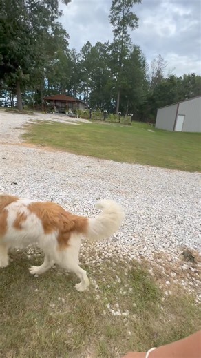 45K views · 5.7K reactions | Good Morning! | From Suits to Boots | Facebook