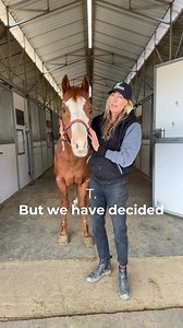 57K views · 2K reactions | This stunning 25-year-old APHA registered...