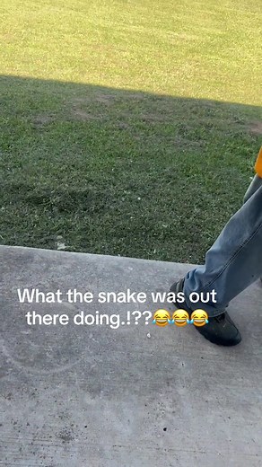 What Was That Snake Doing Out There?!