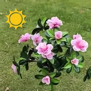 396K views · 2.1K reactions |  Ove solarne azaleje unose šarm i toplinu u svaki prostor. ☀️ Pune se danju, a automatski svijetle noću!  Otporne na vremenske uvjete, ekološke i jednostavne za postavljanje. Dodirnite ispod za narudžbu | vigoshop | Facebook