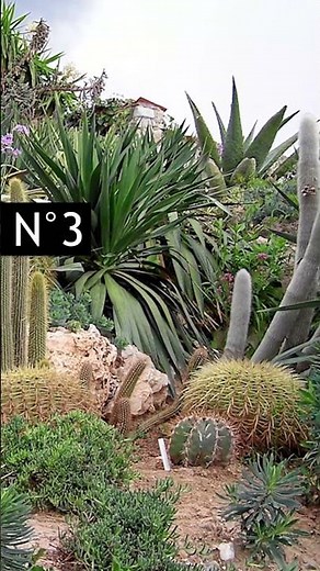 10 Idées de Jardin EXOTIQUE 🌴😍