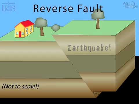 Reverse fault
