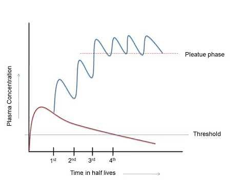 Steady State Plasma Concentration