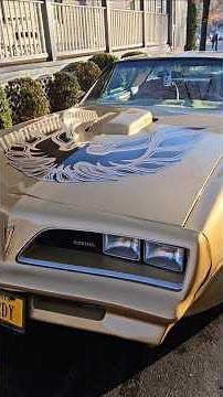 Classic 1978 Pontiac Trans Am Y88 Gold Special Edition : POV WALKAROUND CAR HD SHORTS VIEW #v8