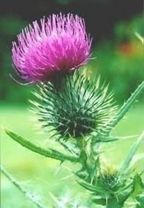 What is Social Credit All About? - The Clifford Hugh Douglas Institute for the Study and Promotion of Social Credit