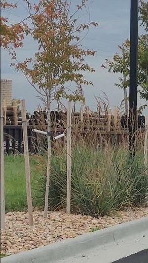 BNSF 6324 ES44AC and BNSF 7489 ES44DC and 3270 ES44C4