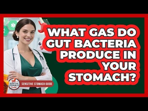 What Gas Do Gut Bacteria Produce In Your Stomach? - Sensitive Stomach Guide