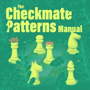 The Checkmate Patterns Manual - Chessable