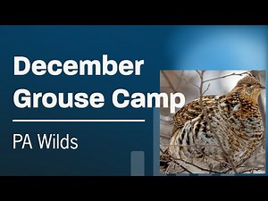 Pennsylvania Grouse Hunting - December Grouse Camp