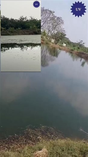 Nanobubble Nakashima Japan on Instagram: "Ozone Nanobubble solution to restore water quality in ponds & lakes now available with one of our customers - Contractor in India #nanobubble #bluegreenalgae #lakerestoration #ozone"