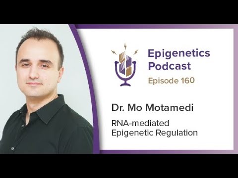 Epigenetics Podcast #160 - RNA-mediated Epigenetic Regulation with Mo Motamedi