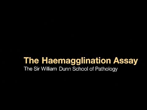 The Haemagglutination assay