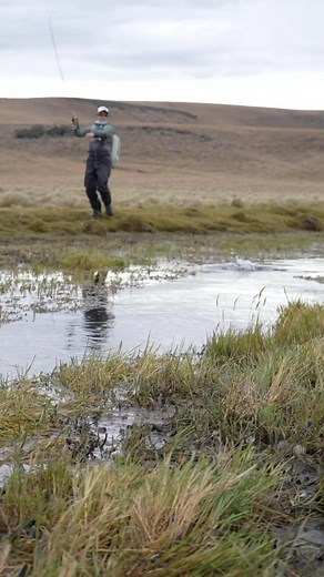 8.7K views · 861 reactions | DRY FLY in Argentina - via...