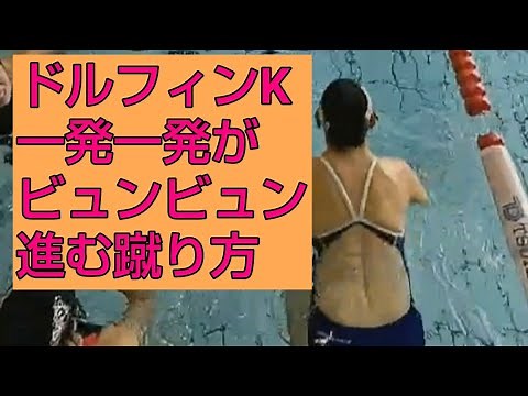 【水泳】50歳・60歳を越えても速くなるドルフィンキックの打ち方