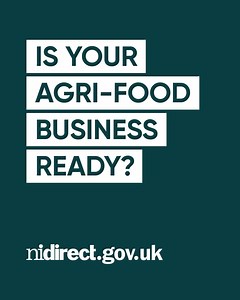 73 reactions · 12 shares | Find out the most most up-to-date information for your business. | nidirect | Facebook