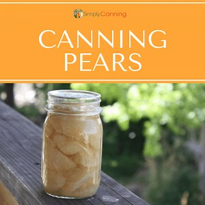 Canning Pears: How to can pears including syrup and juice options.