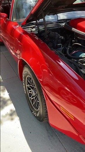 1979 Pontiac Trans Am