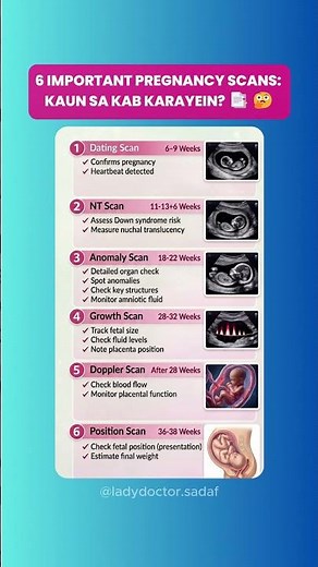 Pregnancy Scans Complete Guide | When & Why You Need These 6 Ultrasounds 🤰📑