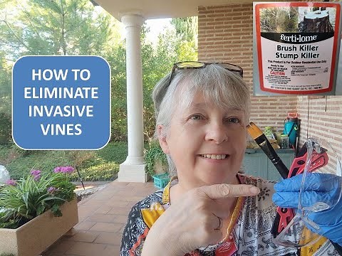 HOW TO ELIMINATE INVASIVE VINES / BE CAREFUL WHAT YOU PLANT