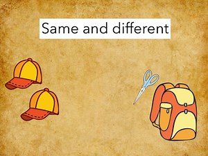 Same And Different