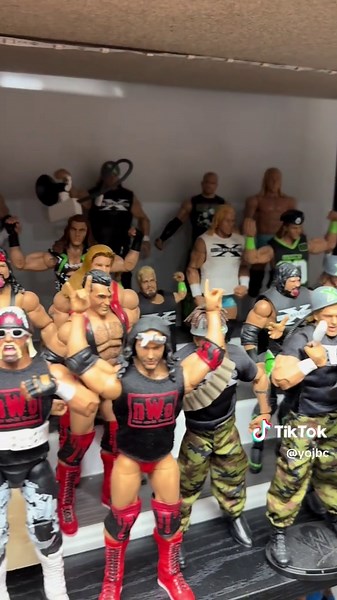WWE Action Figure Collection Showcase
