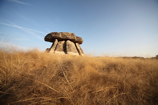 The 5 Offerings in the Old Testament