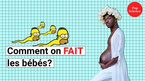 VIDEO — Comment on fait les bébés? La reproduction humaine expliquée - Heidi.news