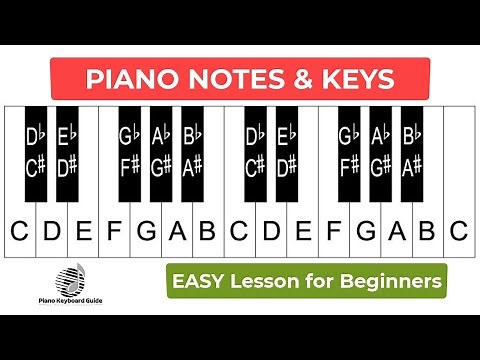 Every Piano Beginner Should Watch This Lesson