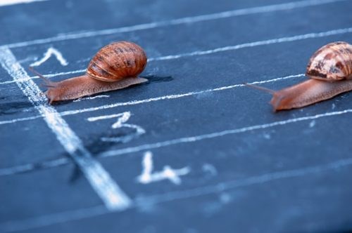 9 Motivational Songs for Students in English – FluentU