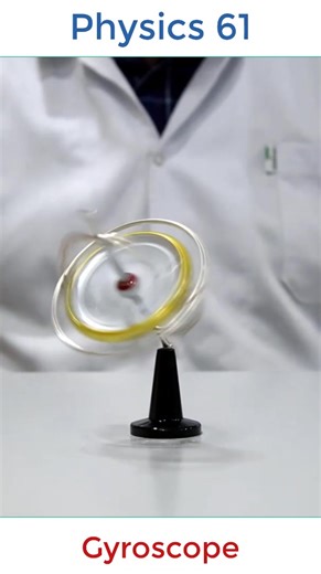 Understanding Gyroscopic Forces and Centripetal Force in Physics