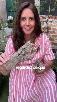 Cork oak, an amazing tree that can withstand heat, drought and forest fires