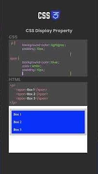 CSS Display Property — Inline, Block, Flex, and More