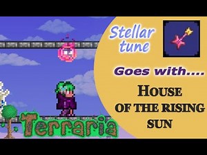 [Terraria 1.4] Stellar tune with House of the rising sun! [The Animals]
