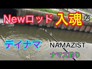 Newロッド入魂なデイナマ NAMAZIST ナマズ釣り
