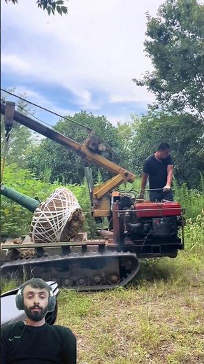 Saving a Tree The Right Way|| Save Tree Save Earth || #savetrees