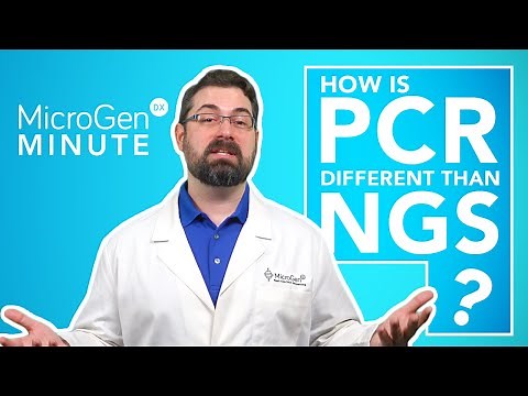 PCR & NGS - What's the Difference? | MicroGenDX Minute Ep.1