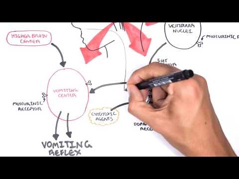 Physiology of Vomiting - Vomiting reflex (NEW)