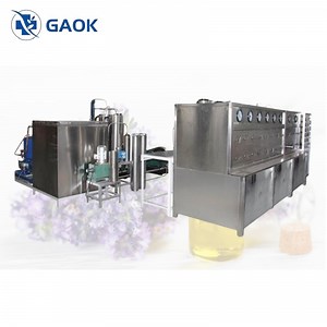 [Hot Item] Herbal Extraction Machines Botanical Centrifugal Equipment Supercritical CO2 Extraction Machine