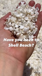 1.2K views | Have you been to Shell Beach yet?  Our guide @findingfreedomwithjenai captured the essence of this stunning spot perfectly! With its sparkling white shells stretching as far as the eye can see, it's a must-see gem in Australia’s beauty. Book now and experience this unique paradise for yourself!  Visit ADVENTURETOURS.COM.AU to book your adventure!  #ShellBeach #AustraliaAdventure #HiddenGems #ExploreAustralia | Adventure Tours Australia | Facebook