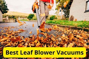 9 Best Leaf Blower Vacuums of 2026 [Reviews]