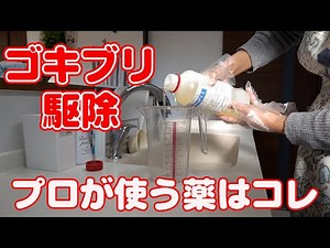 【ゴキブリ駆除】ハエ・蚊駆除 業務用殺虫剤の使い方 レナトップ水性乳剤 臭いや刺激が少なく安全性の高い殺虫剤