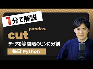 【毎日Python】Pythonでデータを等間隔のビンに分割する方法｜pandas.cut