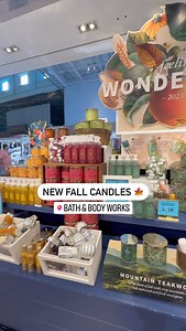 Dolphin Mall on Reels