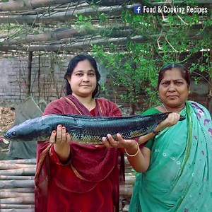 595K views · 10K reactions | Great Snakehead (Gojar) Fish Cooking Recipe Video Credit: Village Food Life | Village Food Life | Facebook