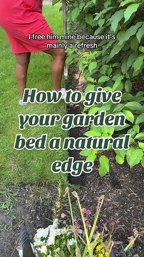 Hey garden tiktok! Using the half moon edger to give my flowerbeds or any garden bed and natural edge is my favorite garden project! It’s east to add a bed or edge anywhere. Getting a half moon edger and using it correctly is definitely one of my beginner gardening hacks and tips to make a flowerbed look nice fast. Easiest part of landscape design imo! Please remember to follow for more gardening tips and tricks and flower gardening ideas 🥰 Garden Diy 🌱 #flowergardeningideas #gardeningtipsandt