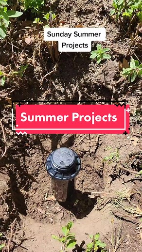 Hunter Sprinkler Head Replacement Tips and How-To Guide