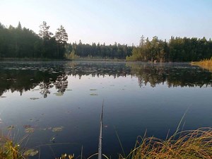 How to Actually Start Fishing (Ultimate Beginner's Guide)